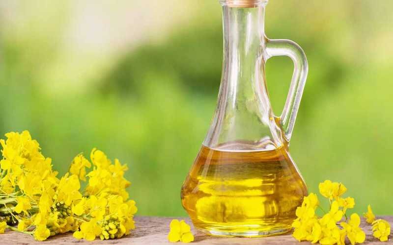 Rapeseed Oil
